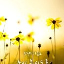 하루커피호프 이미지