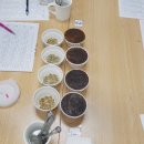 월드바리스타학원 이미지