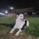 개두방정 이미지