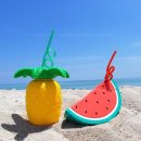 써니라이프 이미지