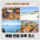 컴포즈커피미포점 | 50대 제주 당일치기 여행 코스 추천 ㅣ 직접 다녀온 부부동반 여행 후기