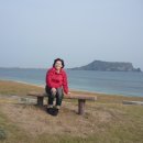 사라수산 이미지