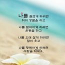 남원시청 Daum카페
