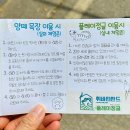 휘바핀란드위드플레이정글 이미지