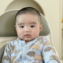 닐라닐라바닐라
