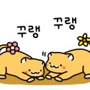 59쌀피자 이미지