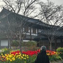 도화그라운드 이미지