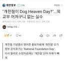 HEAVEN DOG 이미지