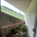 카페보리 이미지