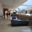 (유)중앙교통 | 날씨좋은날 국립중앙박물관으로 가을 소풍 편의시설과 사유의방 국중박 나들이