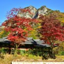 백양사 - 양천구 은행정로20길 5 | 백양사
