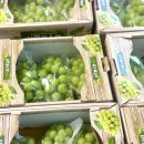 롯데가야유치원 이미지