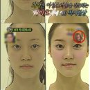 스펀지그룹 이데일리