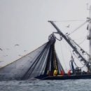 만선을 위한 기원 | 한국 민요 '뱃노래'의 모든 것! 탄생부터 비하인드 스토리까지