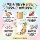 네오나오 네이버블로그