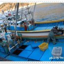 외포항2 이미지