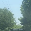 153포인츠부대찌개 | [용인] 저염식 특허받은 153포인츠 부대찌개 본점 맛집 후기