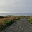 뉴환상민박 이미지