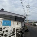 이호조아 이미지