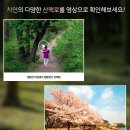 일산사랑요양병원 이미지