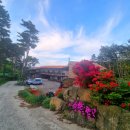 오서산 늘봄 가족독채펜션 이미지