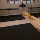 도넛PT&헬스스튜디오여성전용 네이버블로그