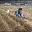 정필농장 이미지