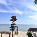 밀물다방 | 대부도 석양잘보이는 카페 “뻘다방” 주말방문 후기🌅💛