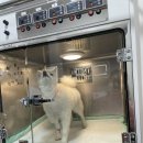 노원 바른 동물의료센터 이미지