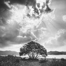 풀스토리6 이미지