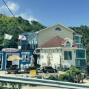 스테이자유 이미지