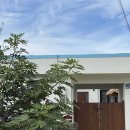 느릿느릿 김녕집 | 느릿느릿 김녕집, 김녕빵집 바로 옆 제주독채숙소 후기❤️