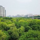 샛강생태공원 브런치
