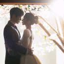 피움헤어 이미지