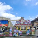 에버랜드 산리오 튤립축제 혼자 가본 후기 (기간, 주말 혼잡도)