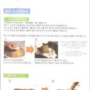기쁨어린이집 네이버블로그