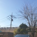 쌍용자동차서인천 이미지