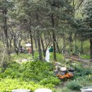 산채식당 이미지