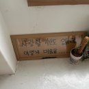 다시사랑받개 이미지