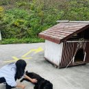 우림관광농원 | 강릉 힐링 여행 아이와 함께 가볼만한 곳 뒷뜨루