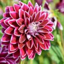 여기산1(서) 이미지