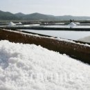 다해유통 주식회사 - 송파구 | 다해유통 주식회사
