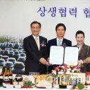 동원식품 이데일리