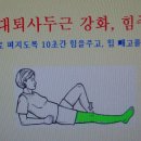 무릎연골 강화운동 이미지