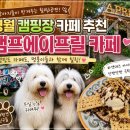 캠프 에이프릴(Camp April) | 영월 캠핑장 카페 추천, 강아지들과 힐링한 캠프에이프릴 카페