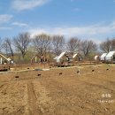 강일 농장 이미지