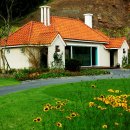 뉴스프링빌2 이미지