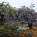 진동 마을회관 이미지