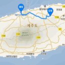 삼다원녹차관광농원