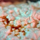 순두부묵밥 이미지